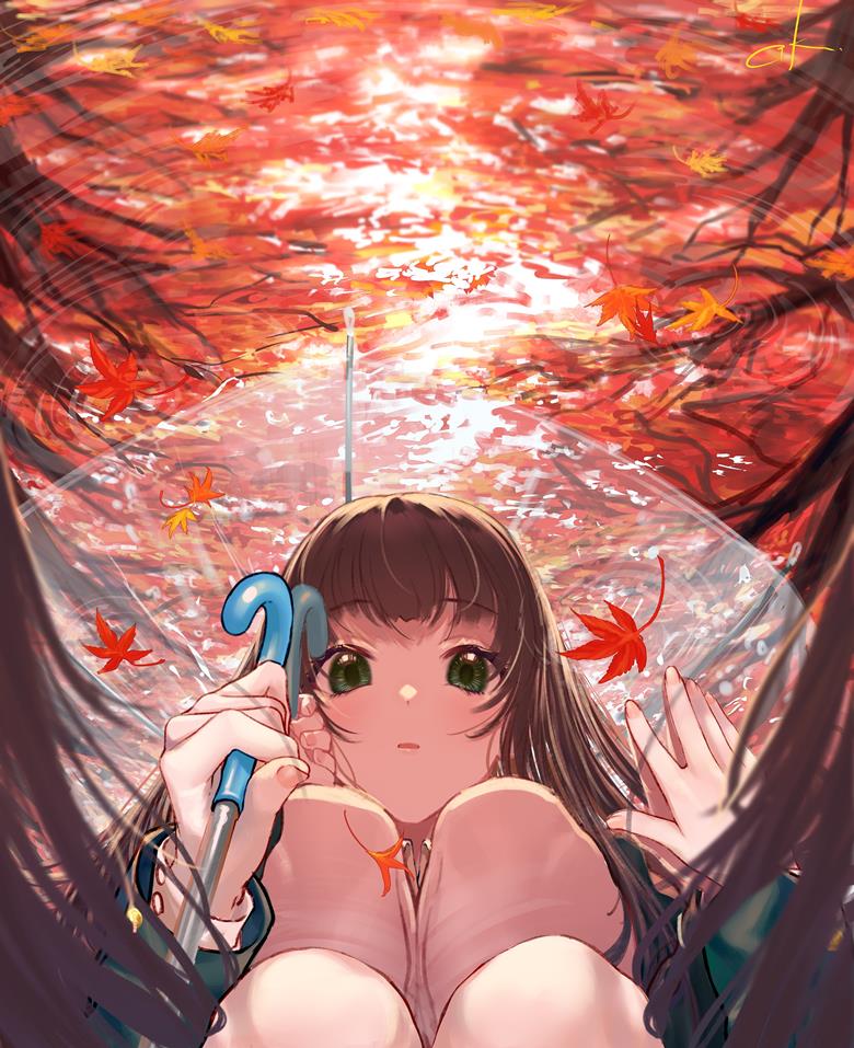 autumn leaves, 原创, autumn, water surface, 反射, 蹲, 透明伞, 原创5000users加入书籤