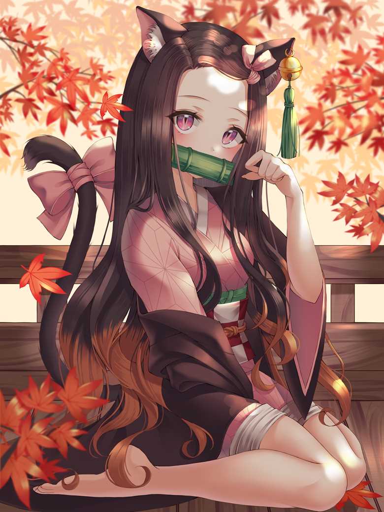 鬼灭之刃, 灶门祢豆子, 和服, autumn, autumn leaves, cat ears, 赤脚, 鬼灭之刃10000收藏
