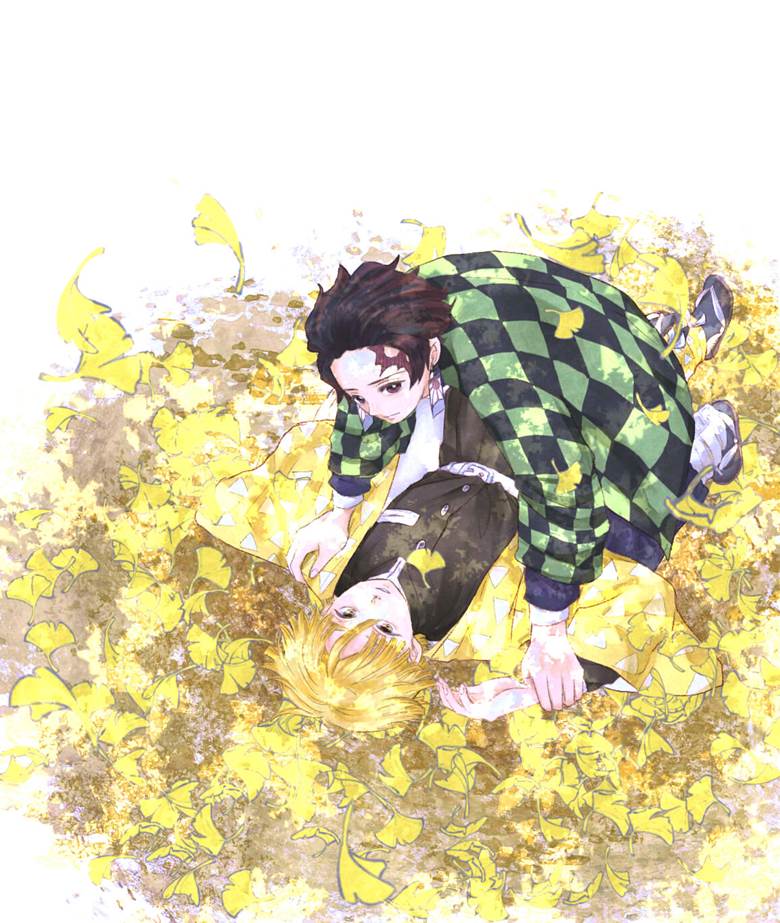 鬼灭之刃, 炭治郎×善逸, 灶门炭治郎, Zenitsu Agatsuma, 鬼灭之刃【腐】100收藏