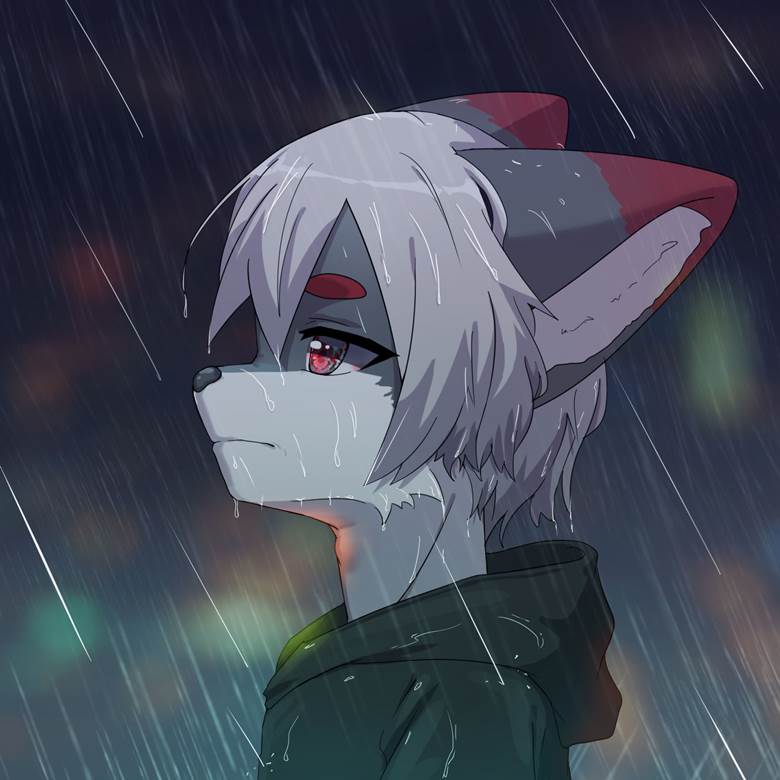 野兽, 兽耳正太, 兽人, furry 100+ bookmarks, rain