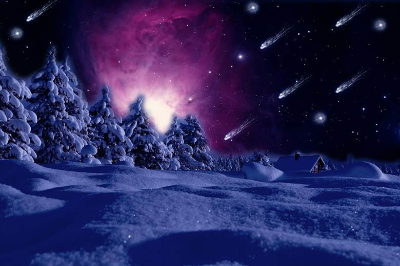 流星の雪原|じゅね的树木植物插画图片