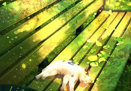 猫椅|Lifeline的pixiv风景插画图片