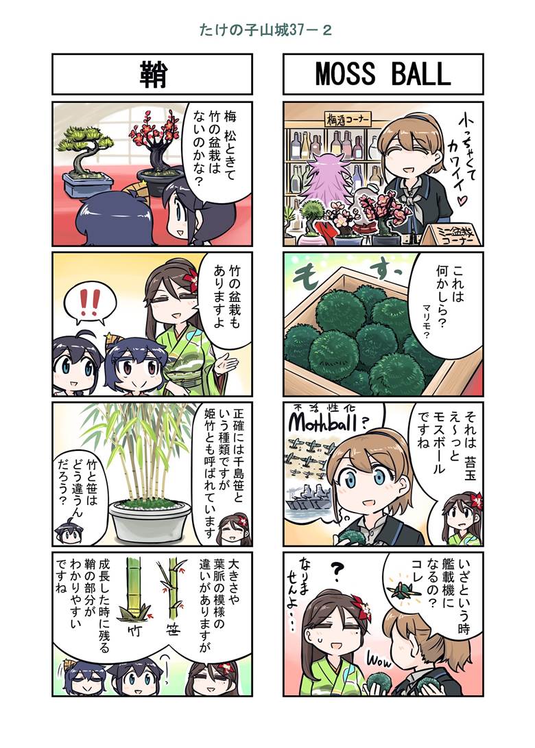 舰C, Yamashiro (Kantai Collection), plant