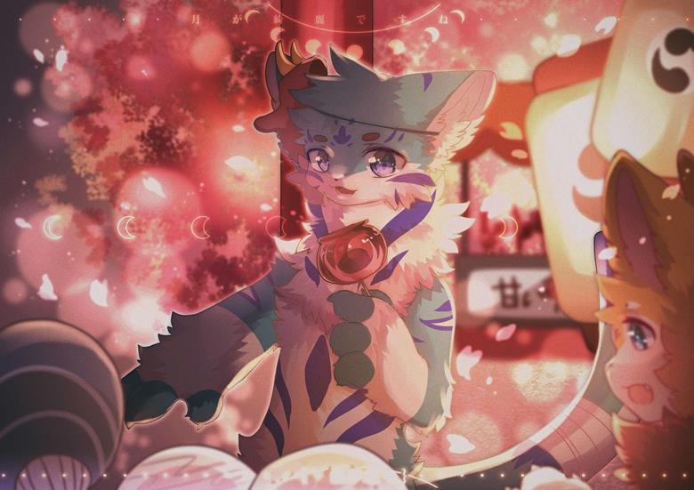 beast, 野兽, animal ears, transparency, 兽人, night sky, 食物, summer festival, 焰火