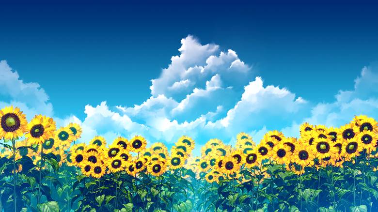 风景, background, 夏天, 积雨云, sunflower field, 风景100收藏