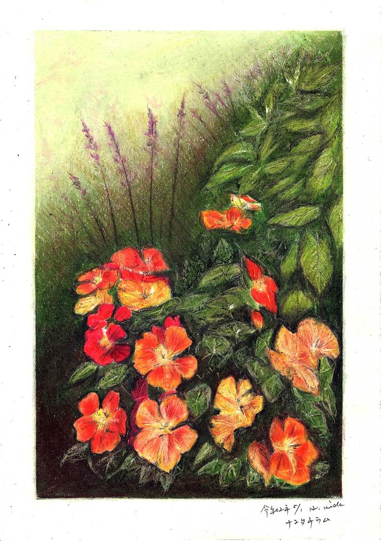 colored pencil drawing, scenery, flower, traditional, original