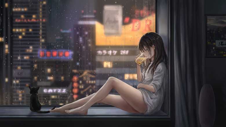 女孩子, night view, background, city, 风景, rain, cat, beer