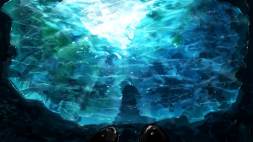 Image for 81579668