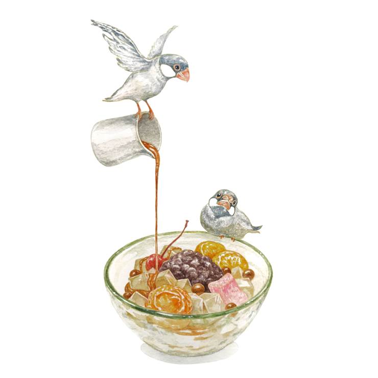 我要浇蜜|插画师kanou的鸟类动物插画图片