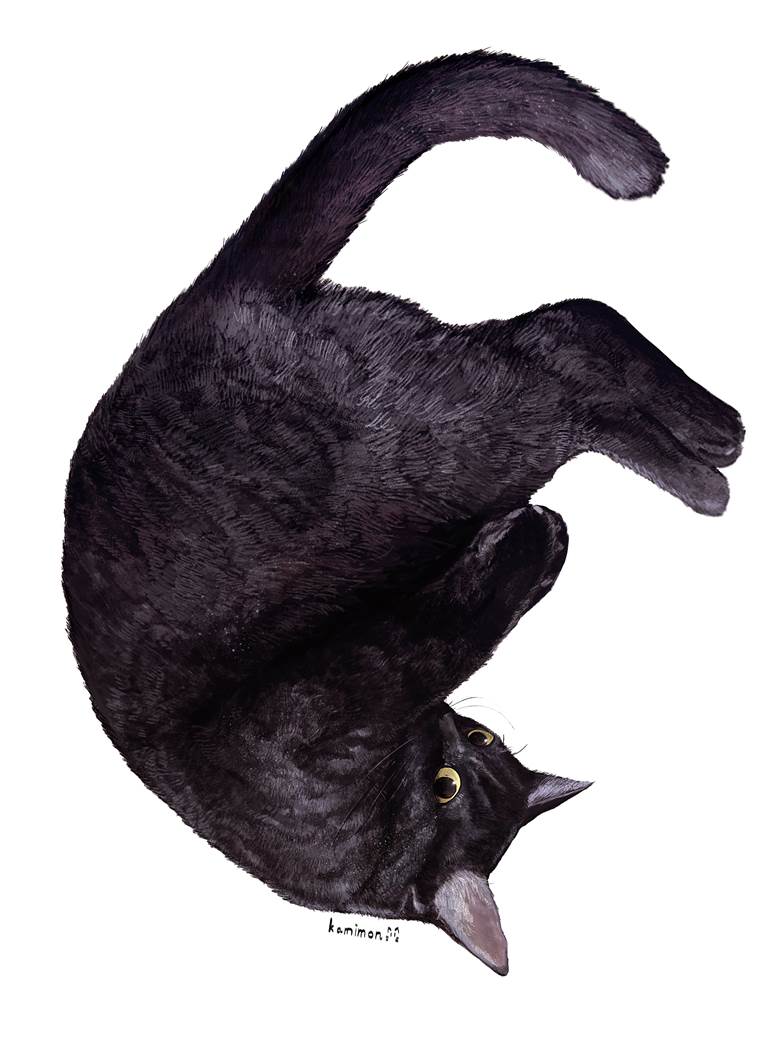 原创, 原创, 黑猫, cat, Original 300+ bookmarks