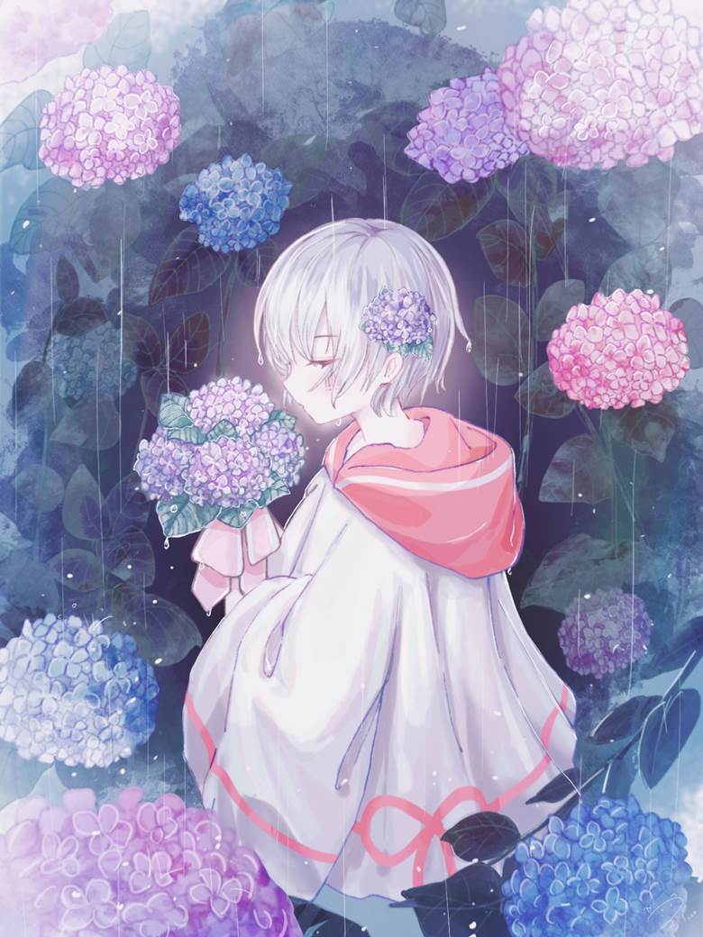 紫阳花, hydrangea, mafumafu, rainy season