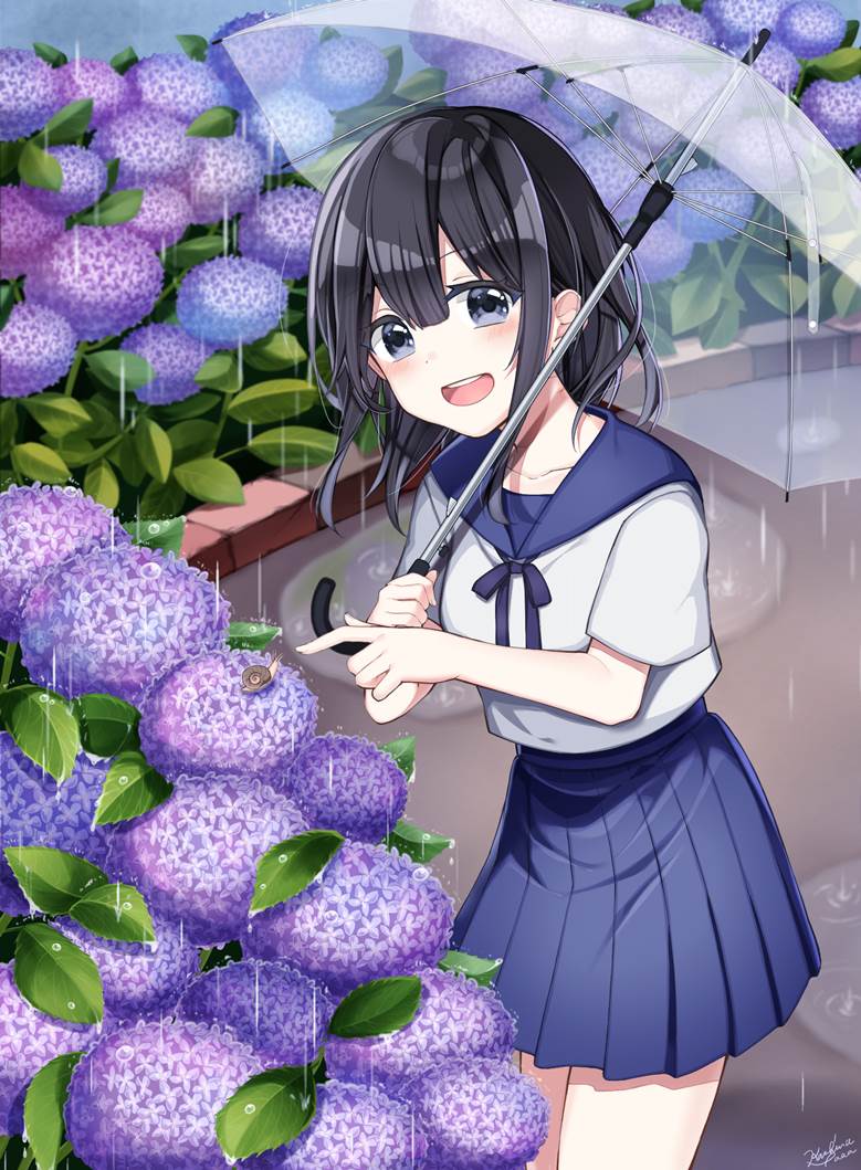 梅雨|かしなーた的紫阳花插画图片