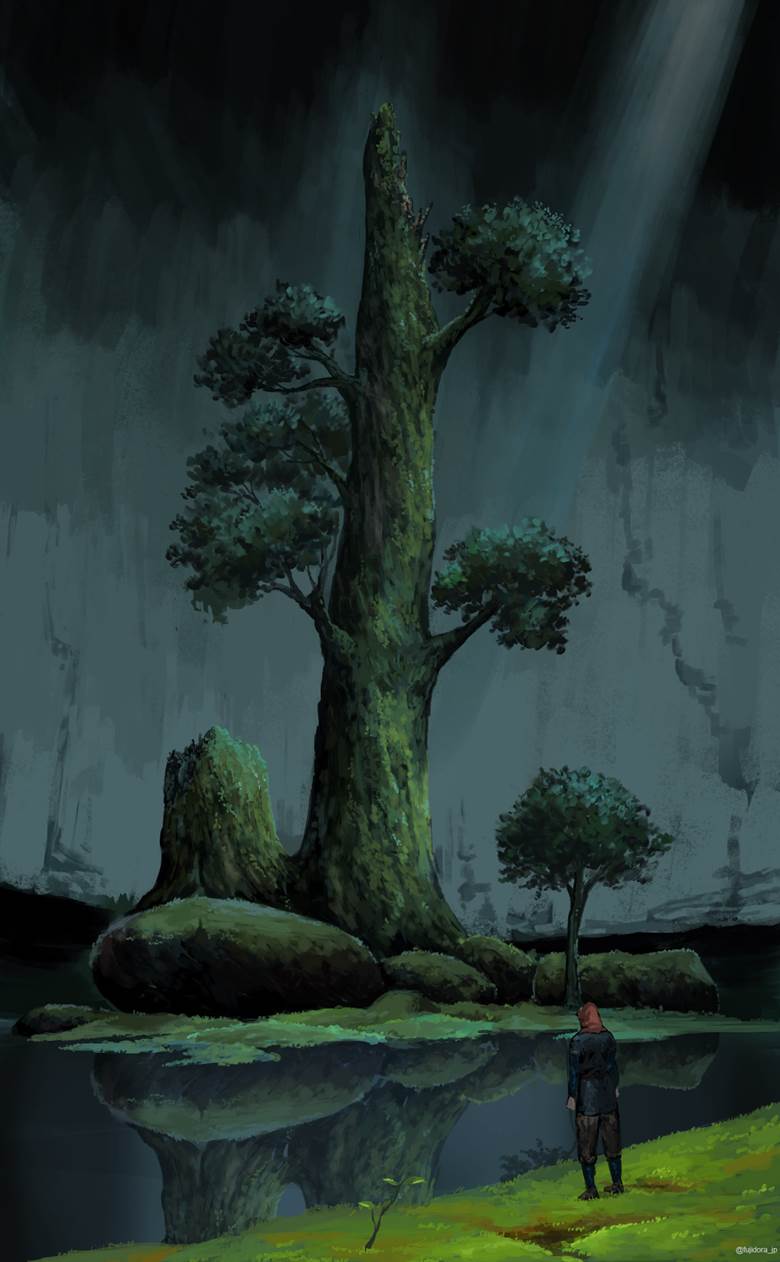 神の栖む森 藤どら的pixiv风景壁纸插画图片 Bobopic