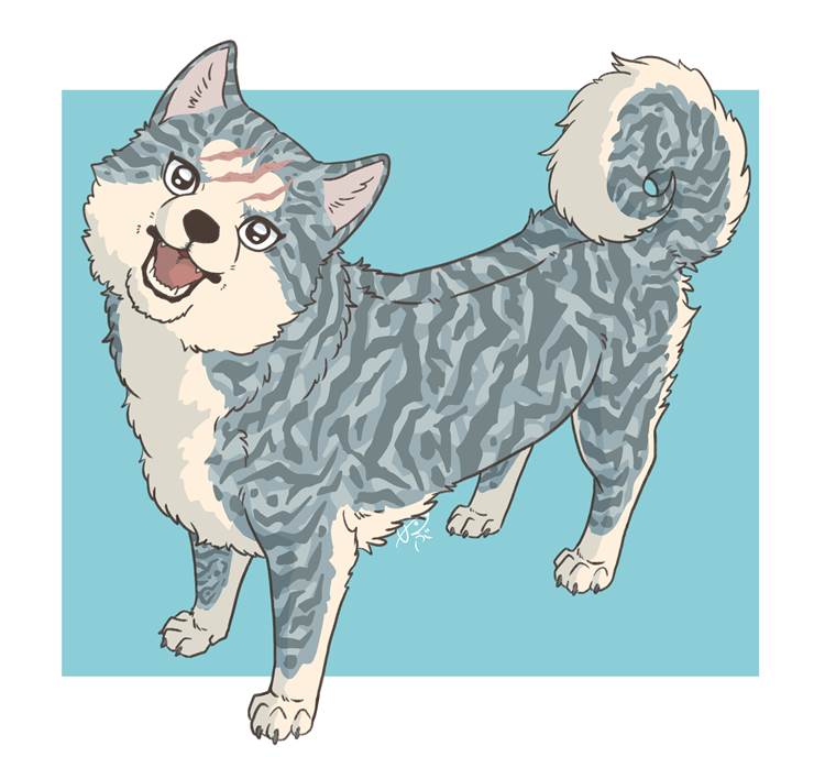 有虎毛的流星。|插画师つぶ(裂肉齿)的狗类动物插画图片