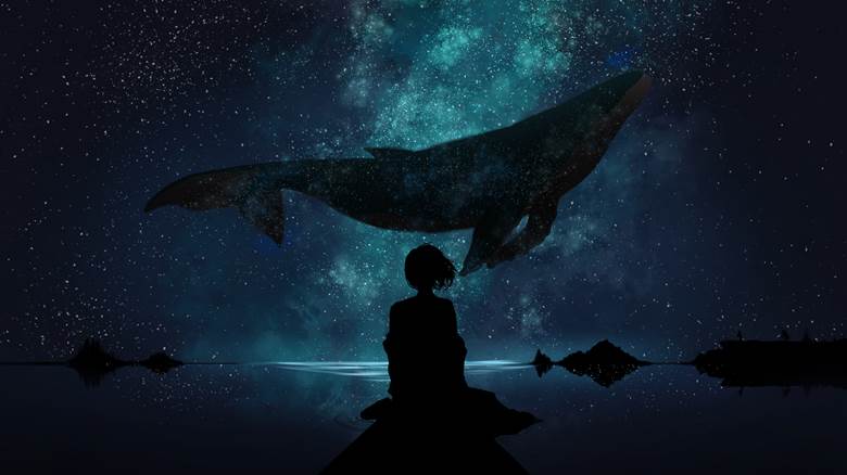 background, 风景, starry sky, whale, sky, whale in the sky