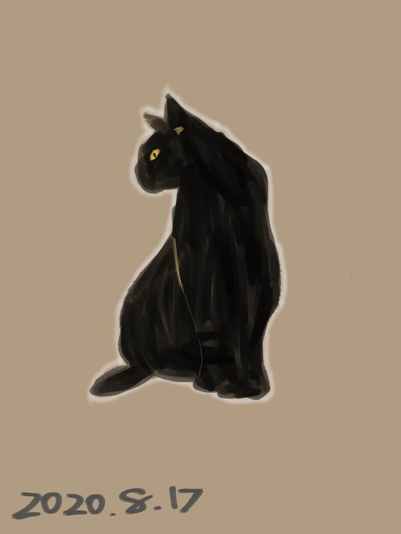 黒猫|うつやま的黑猫动物插画图片