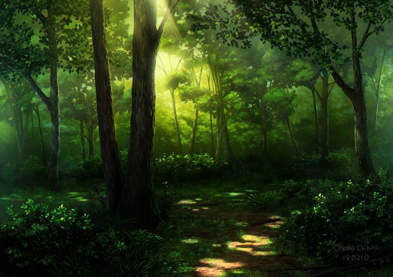 风景, background, 插画, forest