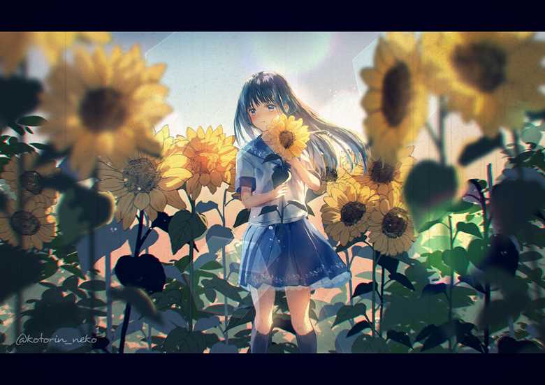 向日葵, sunflower field, 水手服, 夏天, nostalgic, 原创, Original 500+ bookmarks