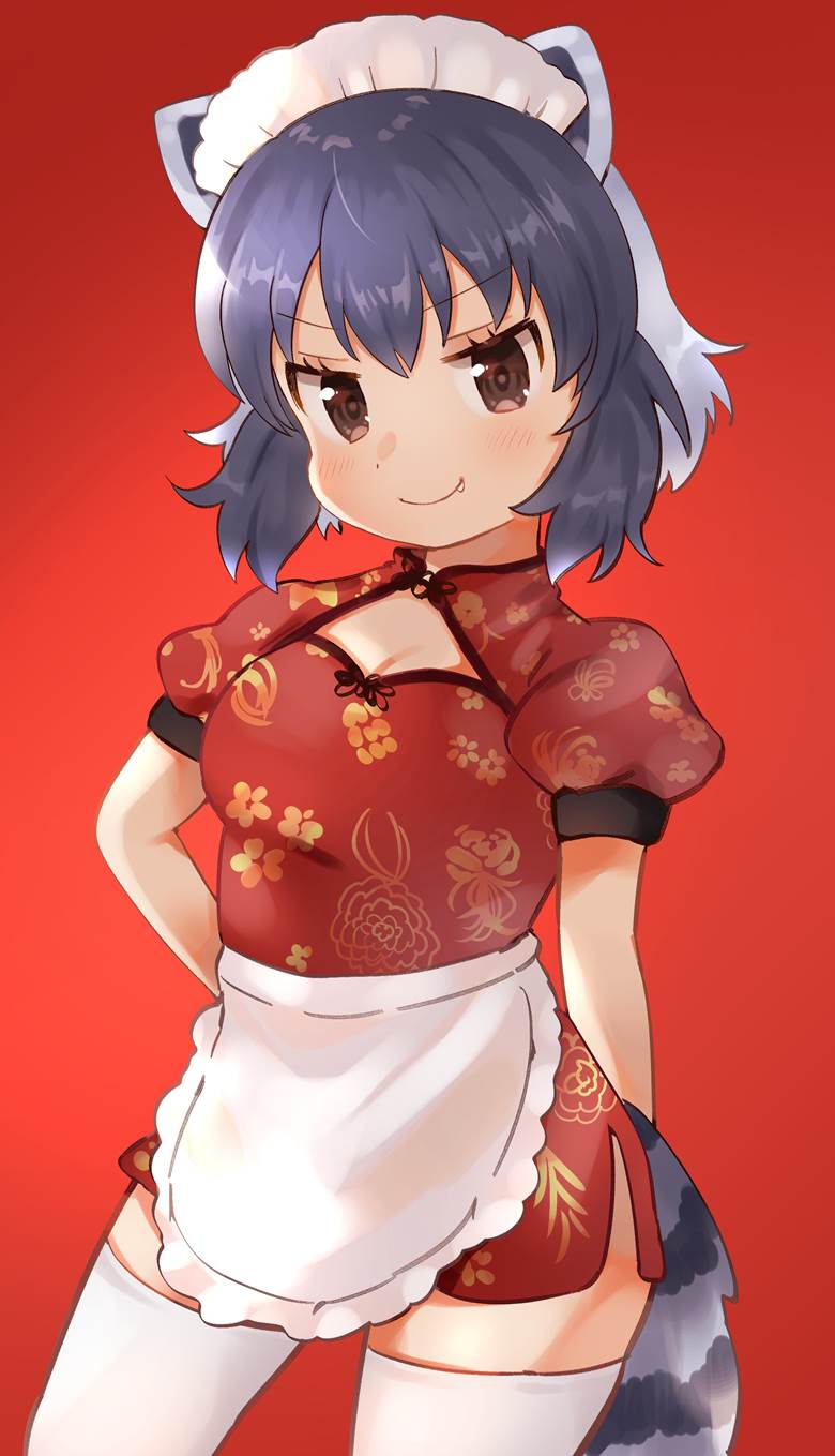 动物朋友, 浣熊（动物朋友）, Kemono Friends 100+ bookmarks