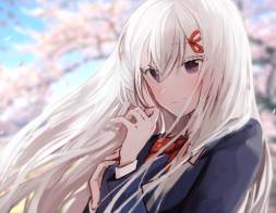 Image for 84555478