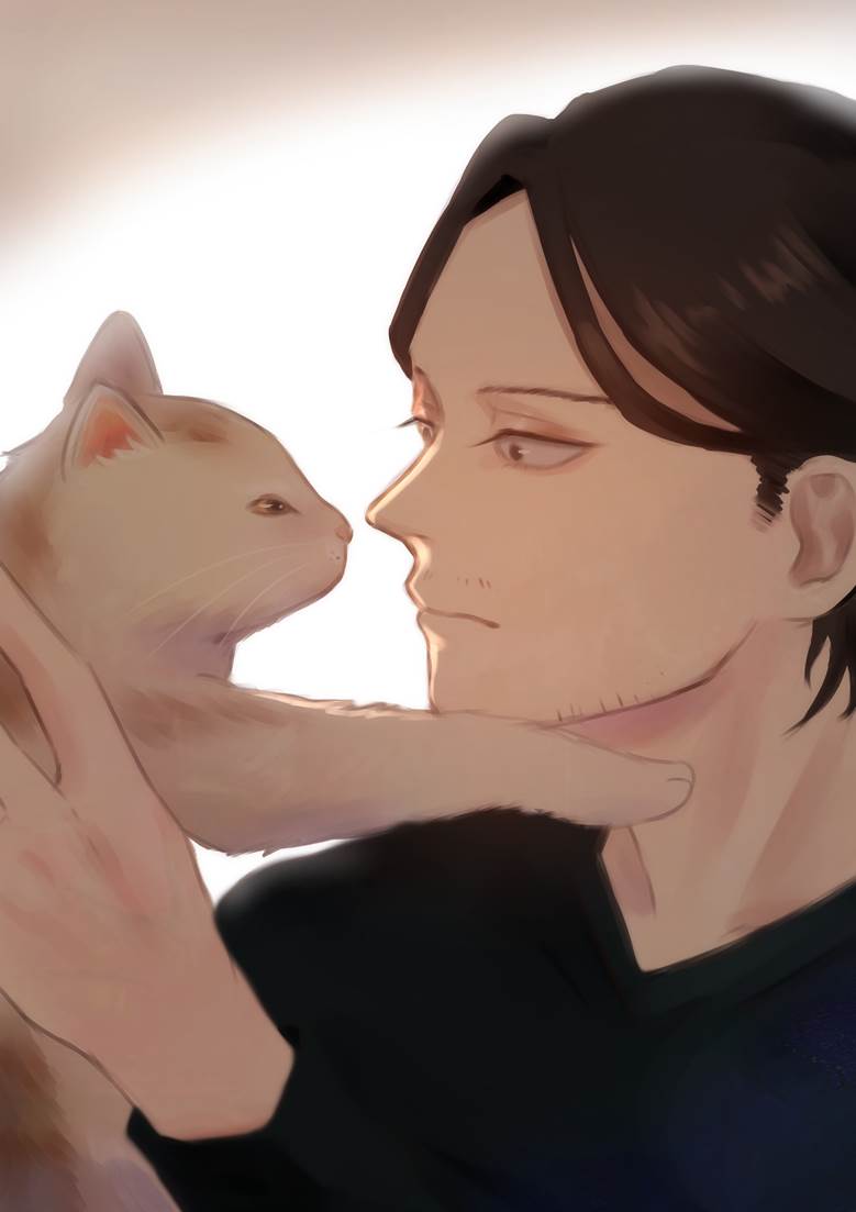 我的英雄学院, 我英, 相泽消太, Eraserhead, cat, 我的英雄学院500收藏