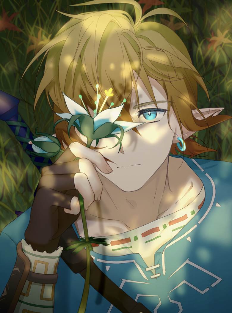 塞尔达传说, 旷野之息, 林克, Link (Breath of the Wild), The Legend of Zelda 100+ bookmarks, 塞尔达传说500收藏, 塞尔达传说 1000收藏