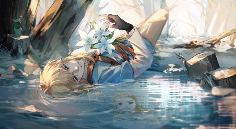 林克, 林克×塞尔达, 旷野之息, 塞尔达传说, The Legend of Zelda 100+ bookmarks