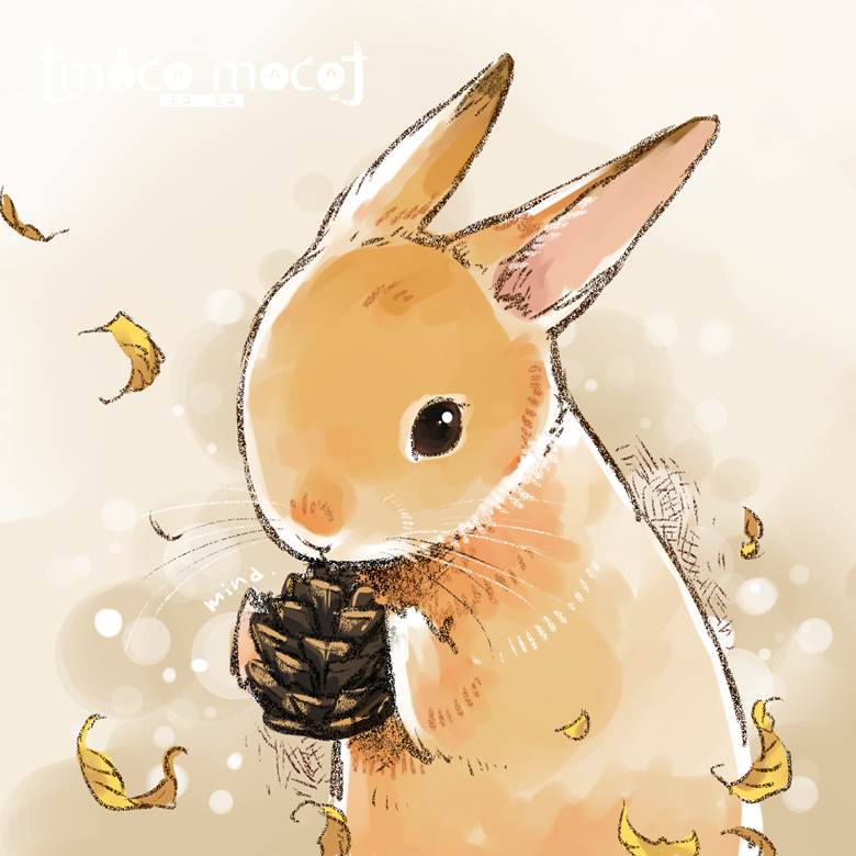 子ウサギと松ぼっくり|mina的小兔子动物插画图片