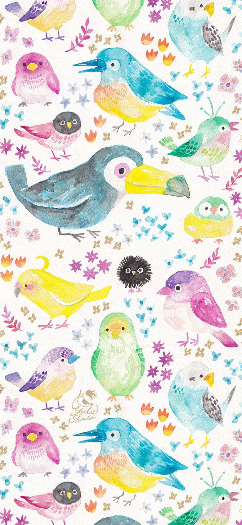 いろいろ鸟どり|しらとりゆきえ的小鸟动物插画图片