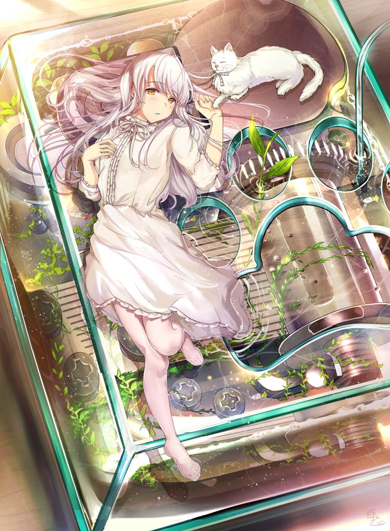 原创, 女孩子, 玻璃之中, cat, Antique, water, 白裤袜, 白发, 白色连衣裙