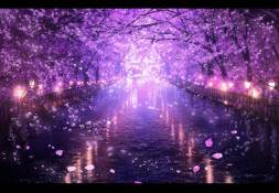 Image for 88981625