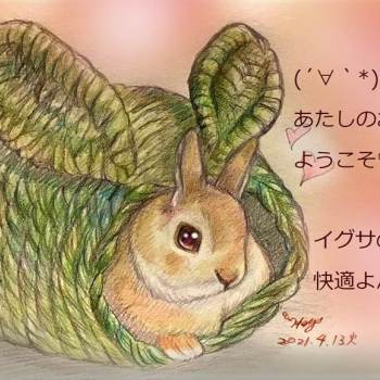 食べられるお家|ひとみ的小兔子动物插画图片