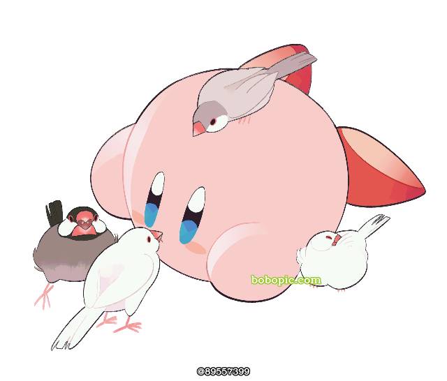 リップルスター女王,卡比,塔兰萨,星之卡比,魔法洛亚图片