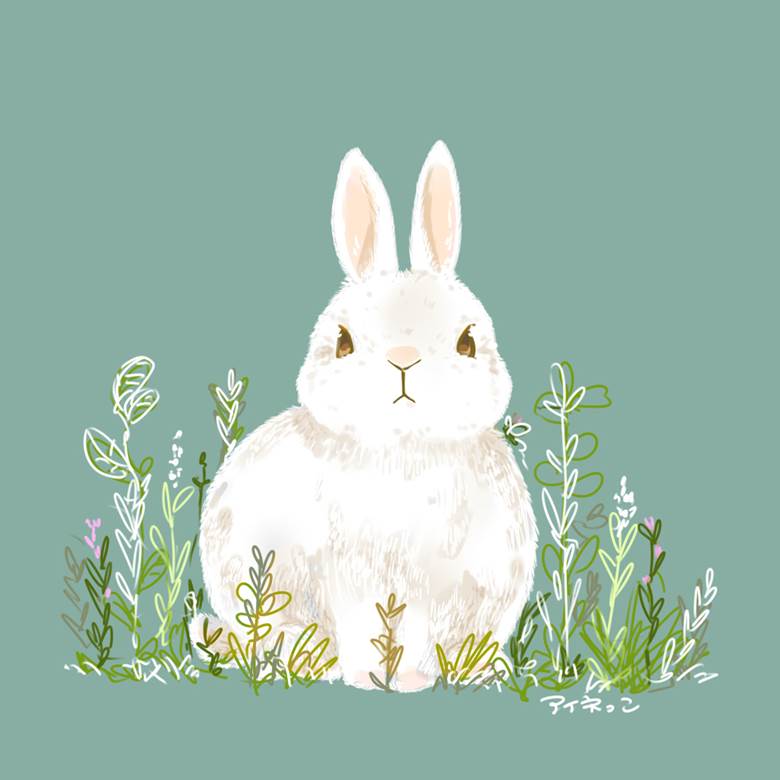 うさぎさん|アイネっこ的小兔子动物插画图片