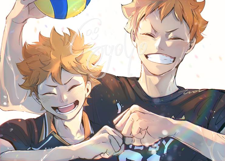 haikyuu, 日向翔阳, Haikyu!! 100+ bookmarks, 排球1000收藏