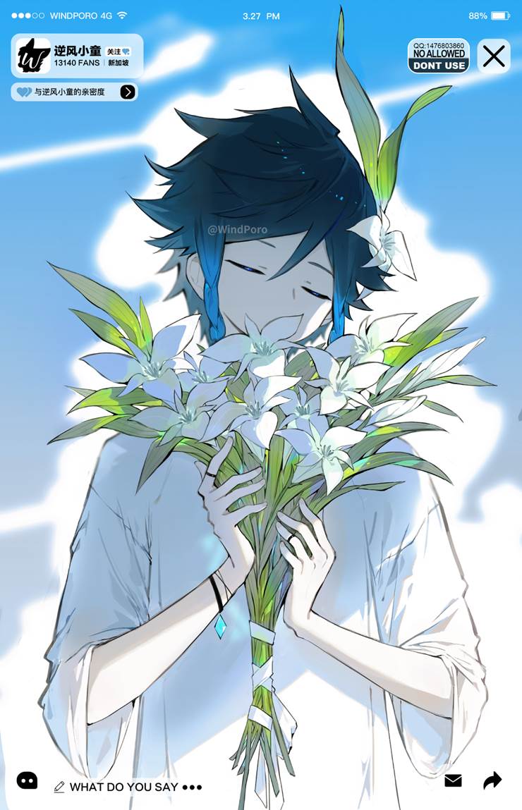 微风塞西莉亚花和你windporo的原神pixiv插画图片