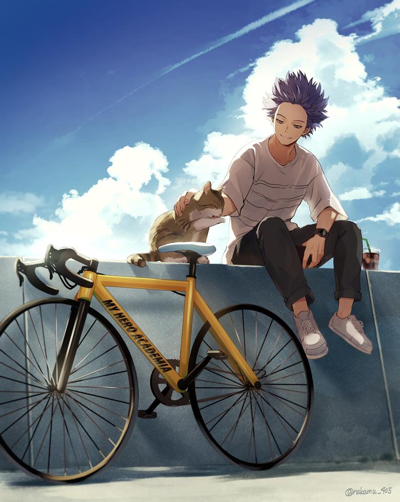 My Hero Academia, Hitoshi Shinsou, cat, road bike, My Hero Academia 1000+ bookmarks