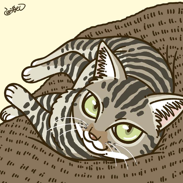 呆萌的猫咪插画图片，吸猫人狂喜