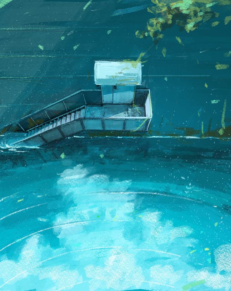 夏天, 风景, background, 原创, 原创, reflection pool, 夏日天空