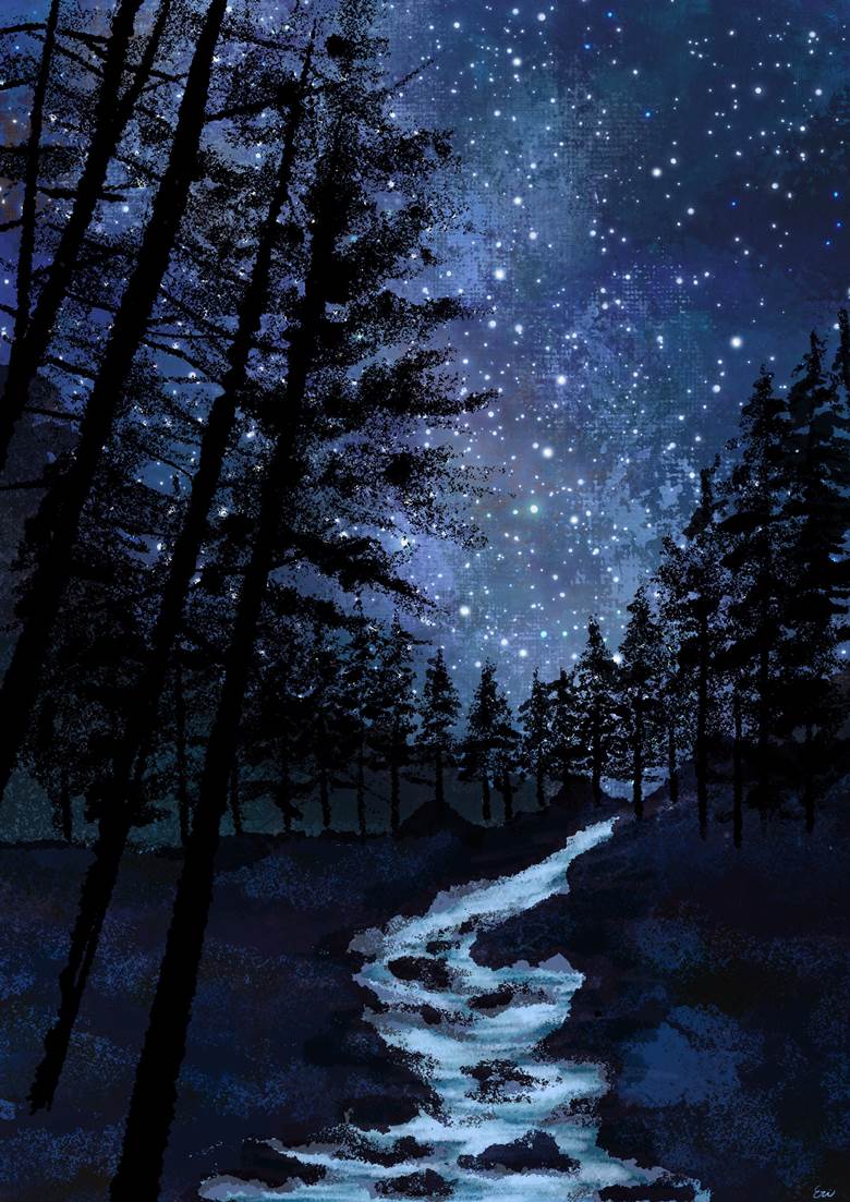 星空と清流eristarrysky的pixiv风景插画图片