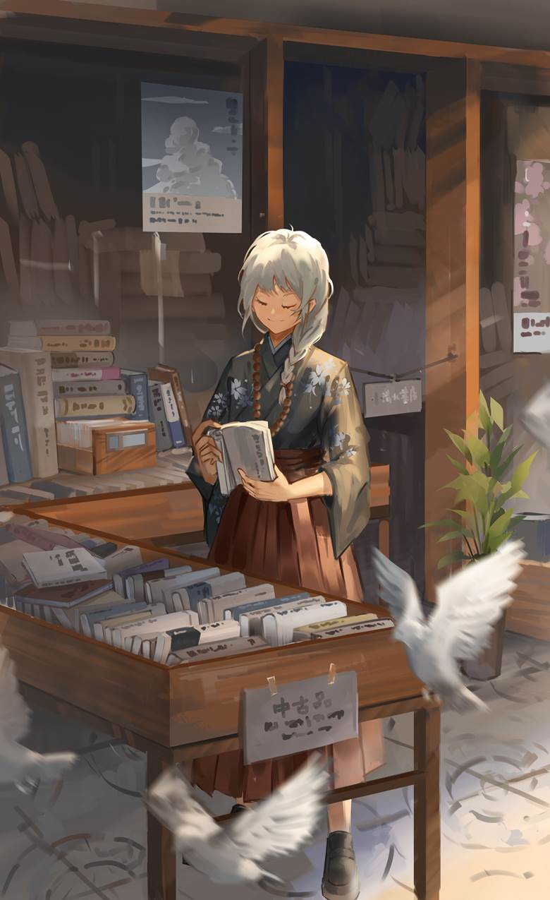 bookshop, scenery, scenery, original works
