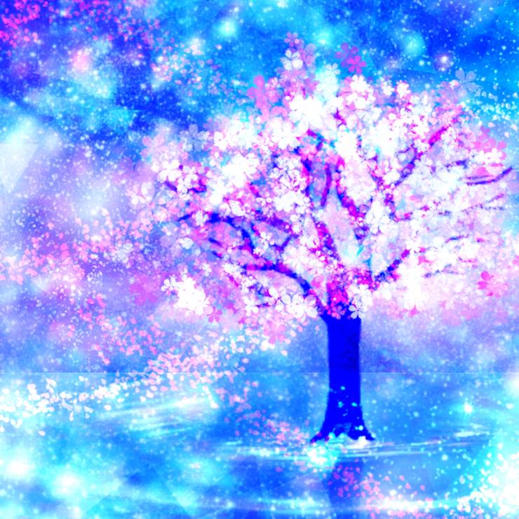 原创, background material, materials, background, water surface, 樱, 夜樱, fantasy, night sky, starry sky