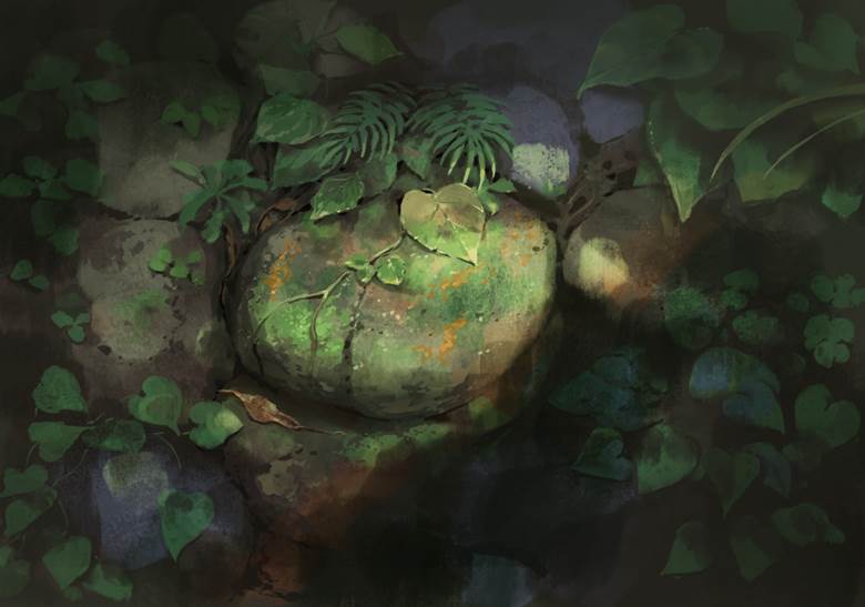 日阴の石|ロシロイチ的植物景观插画图片