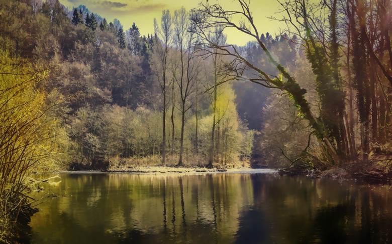 森と湖|旭わたるお的Pixiv风景壁纸插画图片