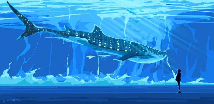 BLUE|插画师Fangpeii的海洋插画图片
