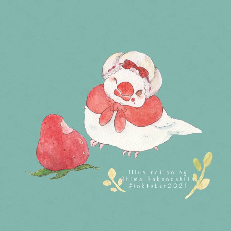 酸甜的草莓和文鸟|插画师坂之下しま的鸟类动物插画图片