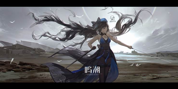 Wuthering Waves, 黑丝袜