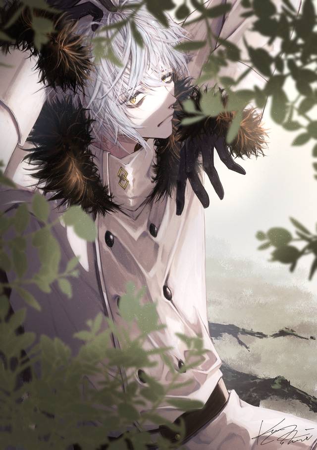 FGO,Fate/GO100users加入书籤,卡多克·泽姆露普斯图片