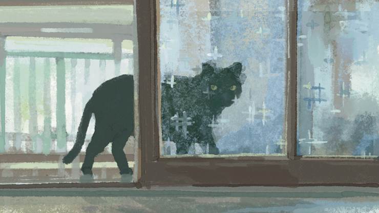 漂亮的黑猫喵星人pixiv插画图片