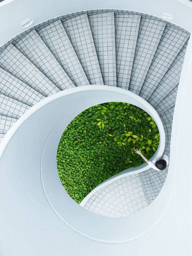 超养眼的翠绿植物美图4
